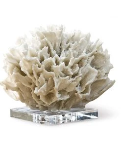 Regina Andrew Ribbon Coral (White)