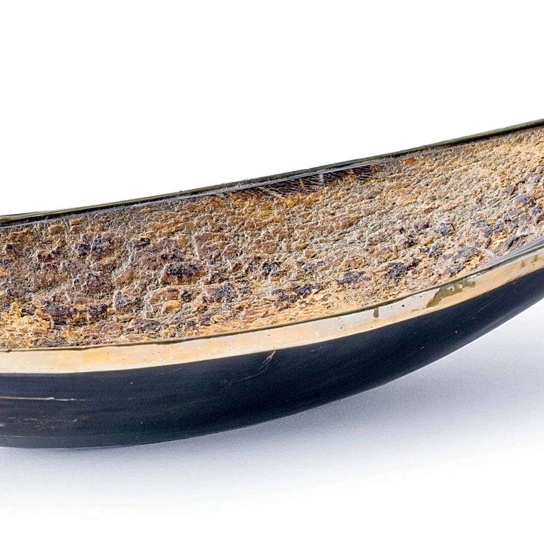Regina Andrew Elongated Horn Dish With Brass Trim DECOR 5 Regina Andrew Elongated Horn Dish With Brass Trim DECOR