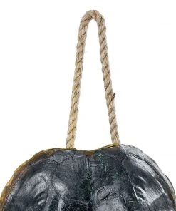 DECOR Regina Andrew Turtle Shell Accessory (Natural)