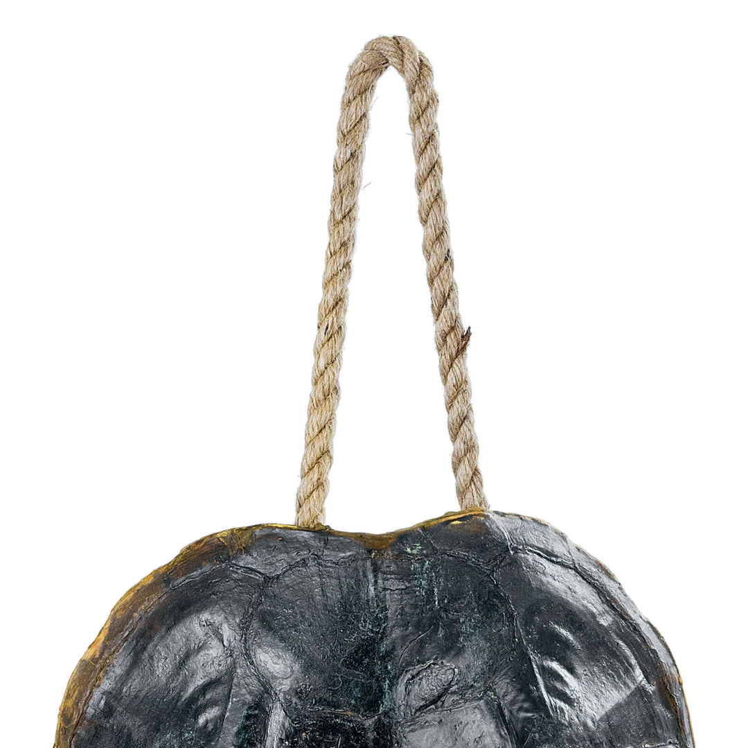 DECOR Regina Andrew Turtle Shell Accessory (Natural) 4 DECOR Regina Andrew Turtle Shell Accessory (Natural)