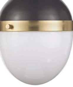 Regina Andrew Otis Pendant Small (Blackened And Natural Brass) All Lighting