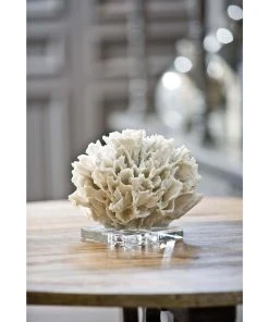 Regina Andrew Ribbon Coral (White)