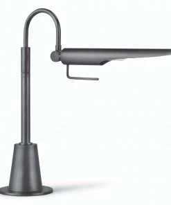 Regina Andrew Raven Task Lamp (Oil Rubbed Bronze) Table Lamps