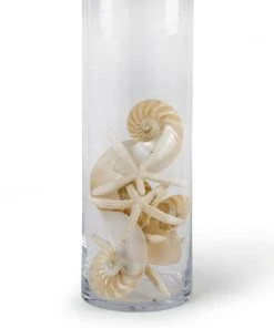 Table Lamps Regina Andrew Glass Cylinder Table Lamp 11 Table Lamps Regina Andrew Glass Cylinder Table Lamp