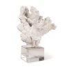 DECOR Regina Andrew Triton Coral Accessory 2 DECOR Regina Andrew Triton Coral Accessory