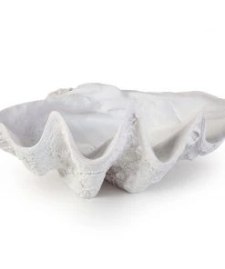 Regina Andrew Bimini Clam DECOR