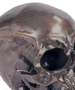 Regina Andrew Metal Skull (Antique Bronze) DECOR