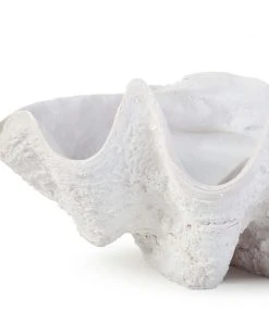 Regina Andrew Bimini Clam DECOR