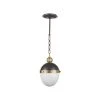 Regina Andrew Otis Pendant Small (Blackened And Natural Brass) All Lighting