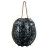 DECOR Regina Andrew Turtle Shell Accessory (Natural) 2 DECOR Regina Andrew Turtle Shell Accessory (Natural)