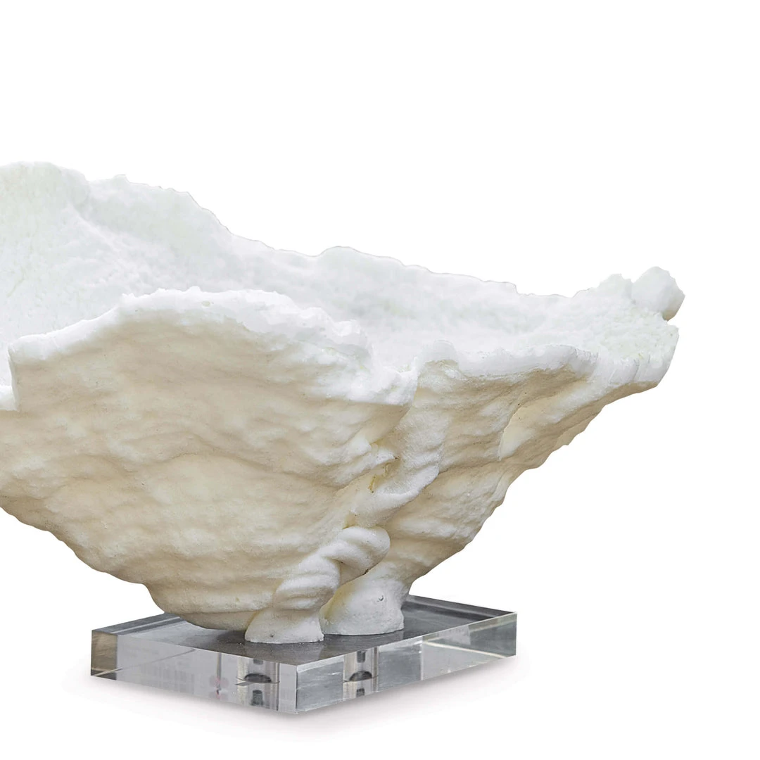 Regina Andrew Coral Reef Bowl Large DECOR 7 Regina Andrew Coral Reef Bowl Large DECOR