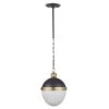 All Lighting Regina Andrew Otis Pendant Medium (Blackened And Natural Brass)