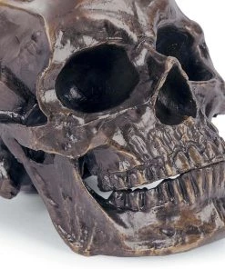 Regina Andrew Metal Skull (Antique Bronze) DECOR